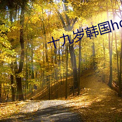 十(shí)九岁(suì)韩国(guó)hd免(miǎn)费完整(zhěng)版