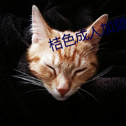 桔(桔)色成(成)人加盟