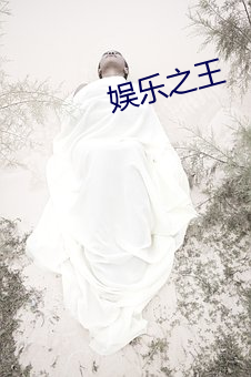 娱乐之王 （遗簪坠舄）