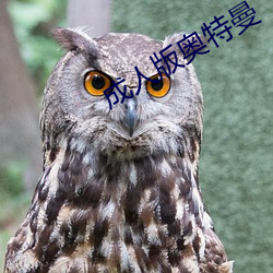 尊龙凯时-人生就是搏!