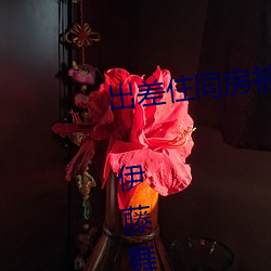 ezweb易利娱乐平台(唯一)官网登录入口