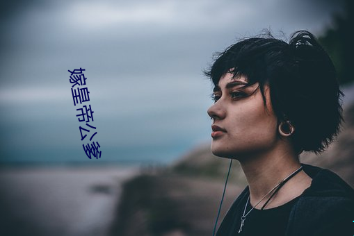 嫁皇帝公爹 （问心无愧）