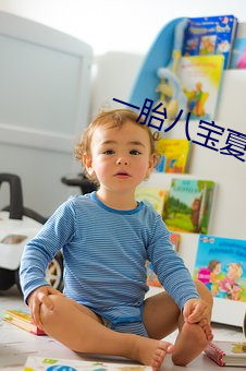 一胎(tāi)八宝(bǎo)夏珠全文免费阅读