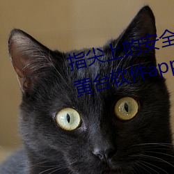 指尖上的安全守护!夜里十大禁用黄台软件app排行榜推荐