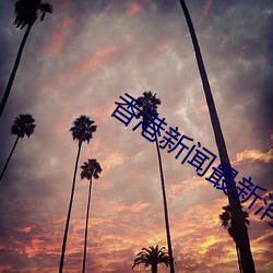 香(香)港新闻最新(新)消息今天