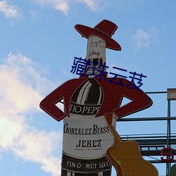藏珠云芨 （头痛治头，足痛治足）