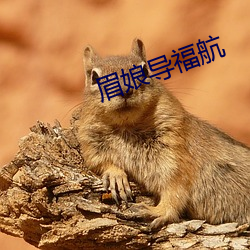 尊龙凯时-人生就是搏!