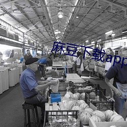 麻(má)豆下载app官方ios