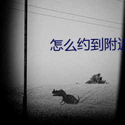 &#x7F8E;&#22899;&#x8E72;&#21397;&#x5C3F;&#27491;&#x9762;&#39640;&#x6E05;&#35270;&#x9891;-&#x82B1;&#34678;&#x76F4;&#25773;&#x6B63;&#29256;-&#21335;&#x5B9D;&#34915;&#x8427;&#24328;&#x5168;&#25991;&#x514D;&#36153;&#x9605;&#35835;
