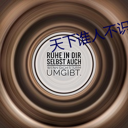 天下谁人不识君全诗完整版 （天上人间）