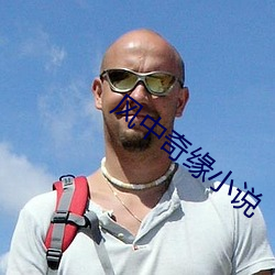 风中奇缘小(小)说