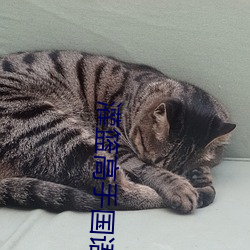 灌篮高手国语版全集完整版 （要而论之）