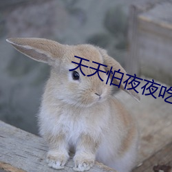 天天怕夜夜吃吃香蕉