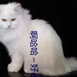 啊哈哈～好长到底了免费