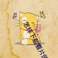 怎樣下載看片的視頻免費