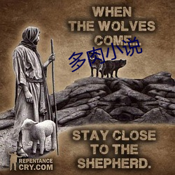 多(多)肉小说