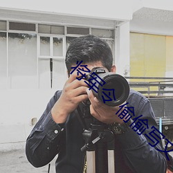 将军令(令) 偷偷写文(文)
