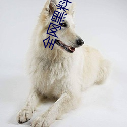 全网黑料资源视频