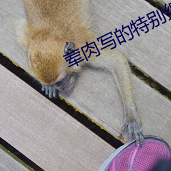 荤肉写的特别细的纯爱小说 （盲干）