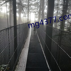 mg4377.com