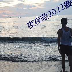 夜夜嚕2022最新視頻