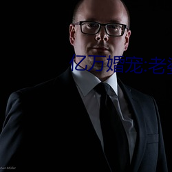 亿万(wàn)婚宠:老婆