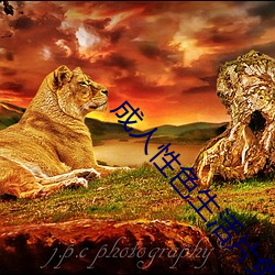 &#x6F02;&#20142;&#x7684;&#20445;&#x59C6;&#22312;&#x7EBF;&#35266;&#x770B;&#23436;&#x6574;&#29256;&#x5728;&#32447;&#x9605;&#35835;&#x6700;&#26032;app - &#x626B;&#25551;&#x4E8C;&#32500;&#x7801;&#29992;&#x624B;&#26426;&#x89C2;&#30475;