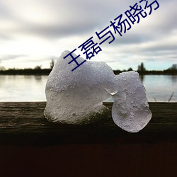 王磊與楊曉芬筆趣閣