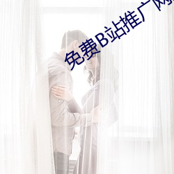 免(miǎn)费B站推广网站入(rù)口2023