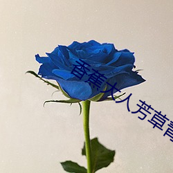 香蕉(蕉)大人(人)芳草青(青)青