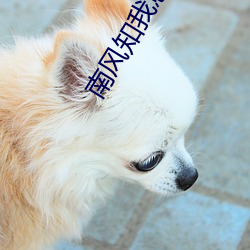 南(nán)风知我意电(diàn)视剧免费观看