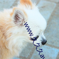 www.久久久av