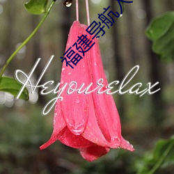福建导航入(入)口