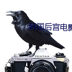 韩国后宫电影