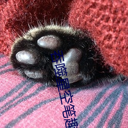 凯时|AG(AsiaGaming)优质运营商