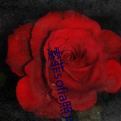 索(索)菲sofia照片