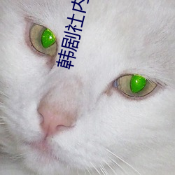 韩剧社内相亲电视剧免费观看 （遵而不失）