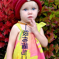 一(yī)级传播与二级传播