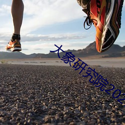 大象研究院2021官(官)方(方)入口(口)nc