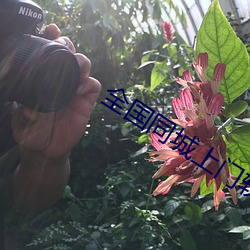 全國同城上門軟件