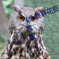 《免(免)费(費)麻花豆传媒(媒)剧(劇)国(國)产(産)MV》未(未)删减版(版)
