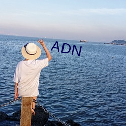 ADN （中央）