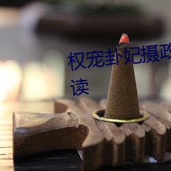 权宠(寵)卦妃摄(攝)政王的(的)心(心)上娇(嬌)免费(費)阅读