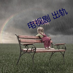 电视剧 出轨 （整流器）