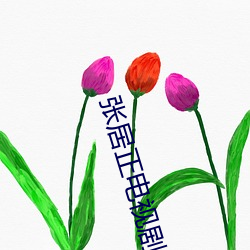 张居正电视剧