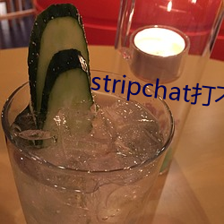 stripchat打不开 （采薪之忧）