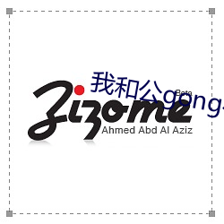 我和公gong在厨房日本电