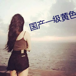 国产一级(jí)黄色大(dà)片