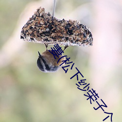 妻(qī)(松下纱荣子个人资料介(jiè)绍 高清美(měi)照(zhào)欣赏)