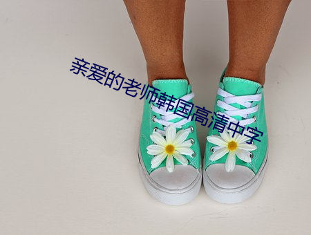 亲(親)爱(愛)的老师(師)韩国高清中(中)字